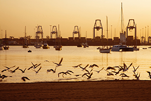 Alcaravaneras beach