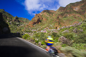 The Guayadeque valley in east Gran Canaria