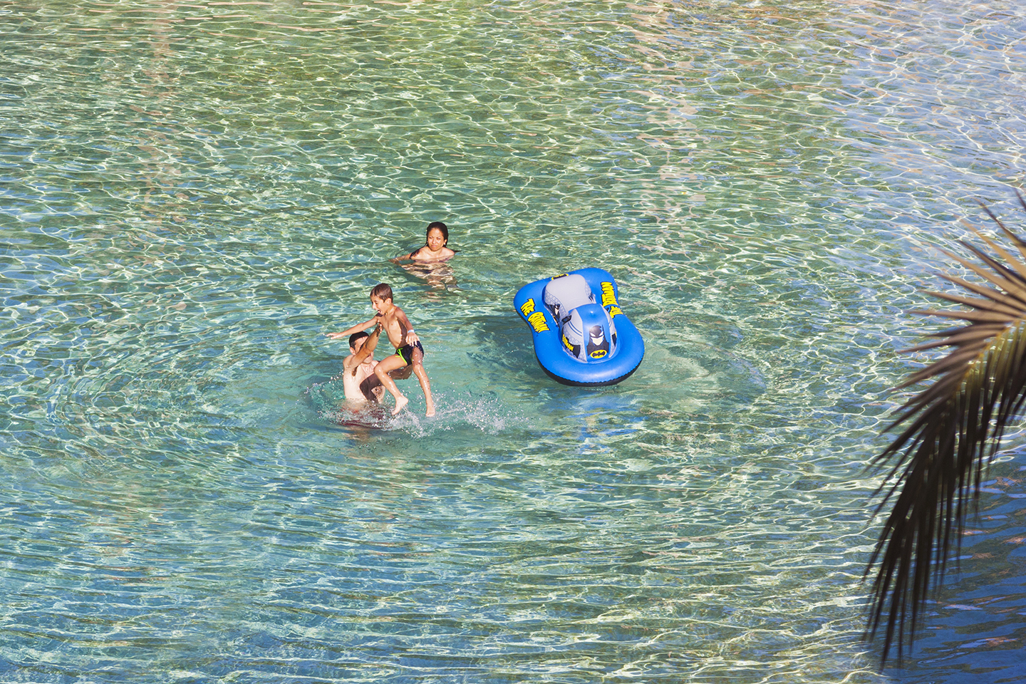 Maspalomas Princess swimming pool and palm leaf