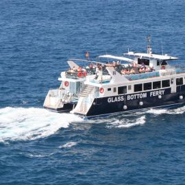 ferry-mogan-blue-bird-006