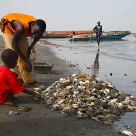 gambia-54