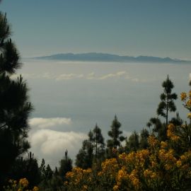 Tenerife