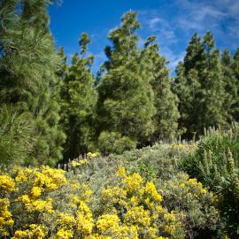 ruta_cueva_de_los_candiles-009