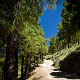 ruta_cueva_de_los_candiles-012