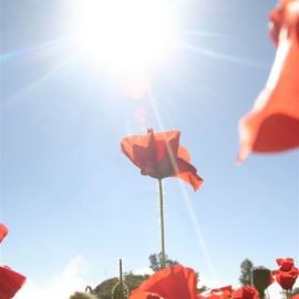 Gran Canaria Sky