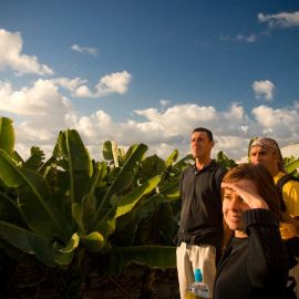 gldar-walking-yacimiento-088