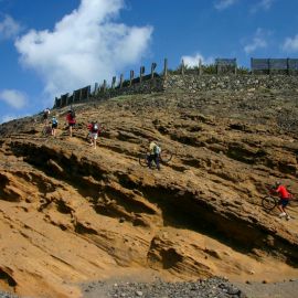 Mountain-Biking (MTB)