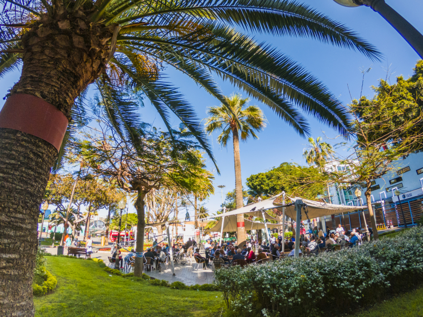 Chess and domino players at Santa Catalina in Las Palmas de Gran Canaria